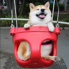 Chill