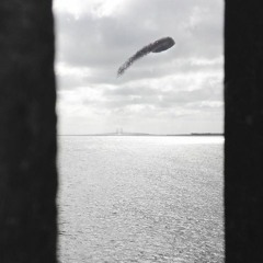 Jakob Kreutzfeldt & Sandra Lori Petersen: "Like Sitting Inside a Phone"