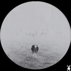 Verdi Interrato - Ofca (Original Mix)