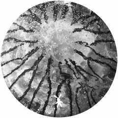 KEFFISH - Regulated (Bekkar Remix)