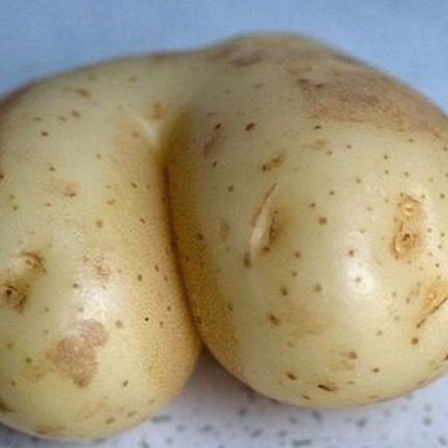 Ass pretty potatoo HOT PRETTY