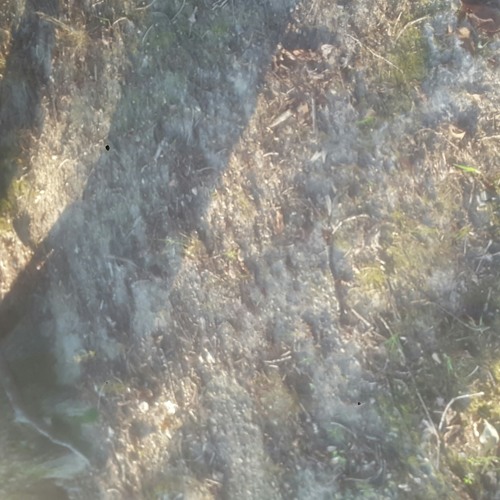 Audio Vlog Seven - School