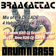 Braakattac's Mix of the decade - for Habitat Festival 2016