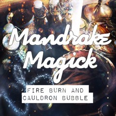 My Interpretation of Shamanism Vs. Witchcraft and Hedgewitchery