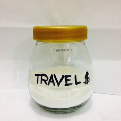 Travel Money
