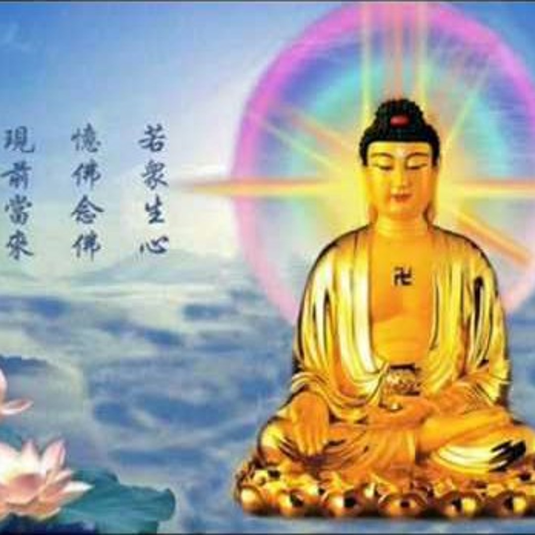 阿彌陀佛 农历七月十四#阿弥陀佛@🙏 0901