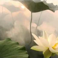 Niệm Phật (Tiếng Hoa) (Địa Chung, Tịnh Tông Học Hội)