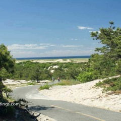 Summer Time (Mandolin Acoustic w/Daniel Wright)