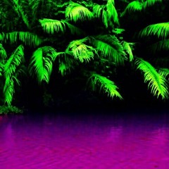 apLorenzo - Roomtemp. Freestyle