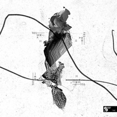 A2_Paul St. Hilaire & Rhauder - Skank (Sushitech Records)
