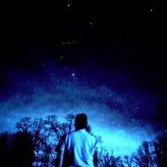 Team Palm Tree at Burning Man 2016