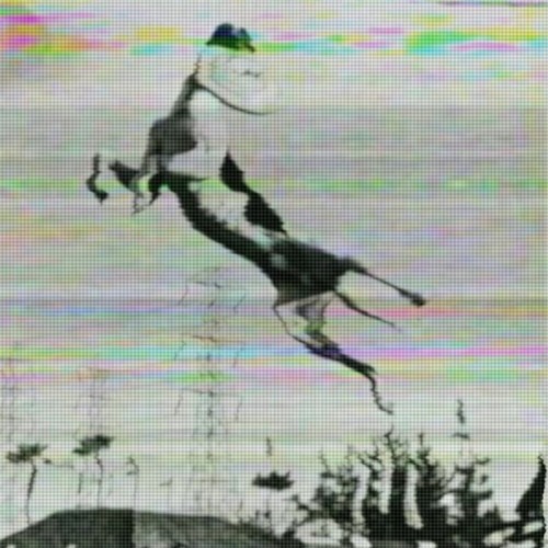 Download: Athlete Whippet - Complain