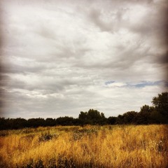 Pitsui - Morning Dew