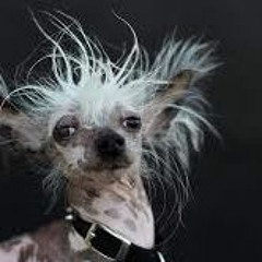 Nasty Bih Freestyle (C-Papi X H-Tubbs)