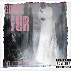 Gucci Fur