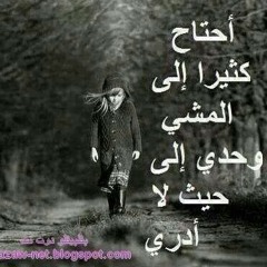 غريب في بلاد غريبة .عبدالباسط حمودة