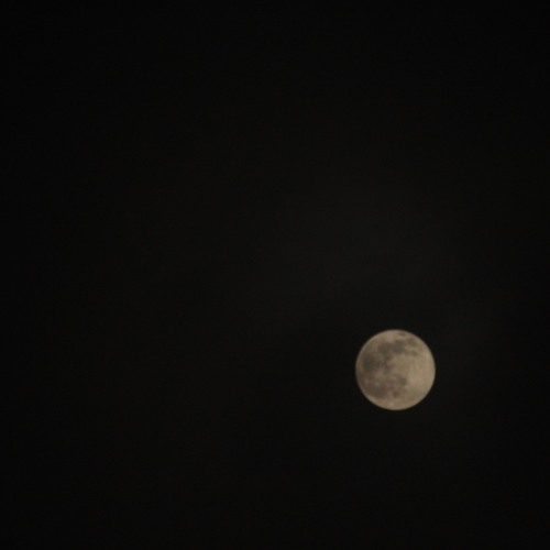 حب عالحاجز - ولعت