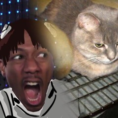 ЛЮТЫЙ ЖОРА ОРЕТ КОТ ЗАСТРЯЛ В ЕВАНГЕЛИОНЕ