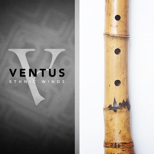 VENTUS SHAKUHACHI: "Black Lotus" (Naked) by Solonoid Studio