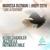 Artwork for Like A Feather - Marissa Guzman(Jazzuelle's Darkside Theory Mix)
