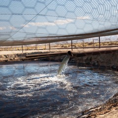 Texas Regulators Unsure if Hazardous Waste Was Injected Near Groundwater Sources