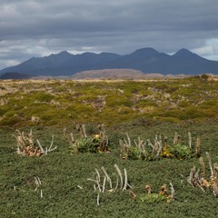 nuit à Mayes, îles Kerguelen