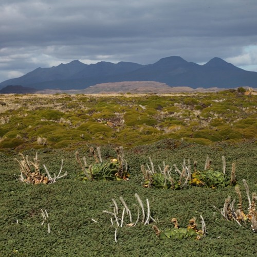 nuit à Mayes, îles Kerguelen