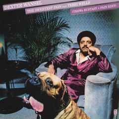 Dexter Wansel - The Sweetest Pain feat. Terri Wells (TREWs Pain & Ecstasy Edit)