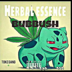 Bubbush No - Throwbacks