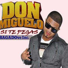 DON MIGUELO- Si te pegas(BAGADOve)