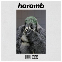 [trap ghandi] - harambe (ft. fleewon, yung hazen, chef ali, wolf on davoll street)