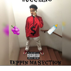 reppin my section