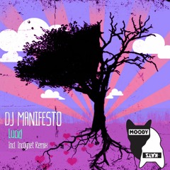 Lucid(Incognet Remix)