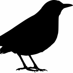 Beatles - Blackbird (cover)