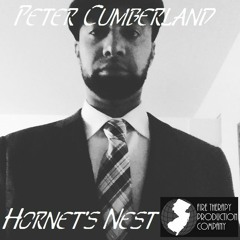 Peter Cumberland - Hornet's Nest Instrumental (unmixed)