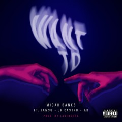 Micah Banks ft. JR Castro, Iamsu!, AD -  Want To [Prod. Lavengers]