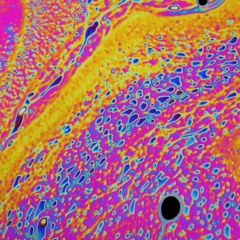 Vivaldi - Concerto For Cello & Orchestra In Am, RV 419 - I. Allegro Sampler Beat [99BPM]