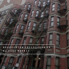 Beukplaten Collection 29 by Pure Matrix