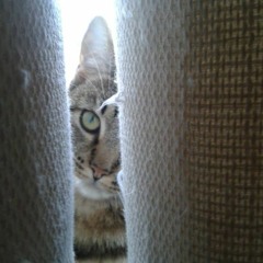 lets do some Darncing