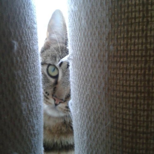 lets do some Darncing