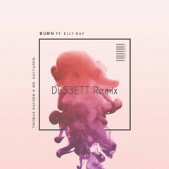 Thomas Hayden, Mr. Saccardo - Burn (Ft. Elly Ray) (DES3ETT Remix)