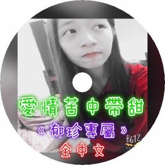 Dj 布萊特 - 愛情苦中帶甜《全中文•郁珍專屬》