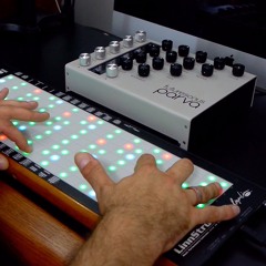 Parva analog poly-synth with LinnStrument