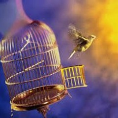 بلقيس للشاعر احمد هيبه  2