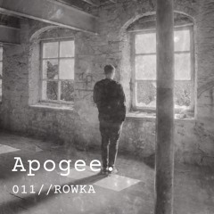 Apogee 011 // Rowka