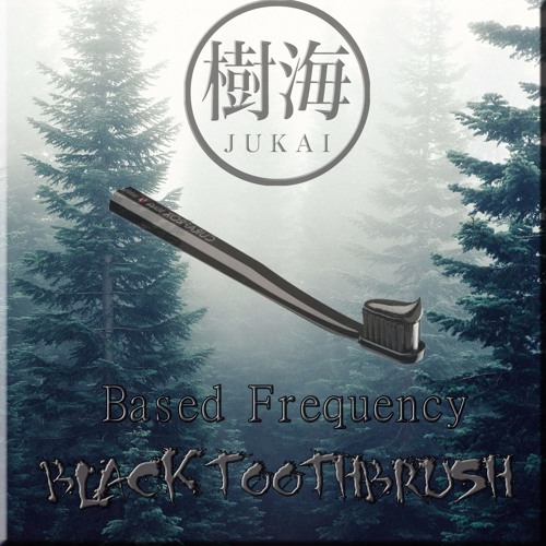 Black Toothbrush