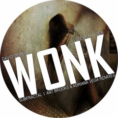 Steve Shaden, David Temessi - Wonk (Ant Brooks, Adriana Vega Remix) [DSR Digital]