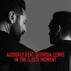 Audiofly feat. Georgia Lewis - In The (Last) Moment (Robag's Ponk Pramen NB Remix)