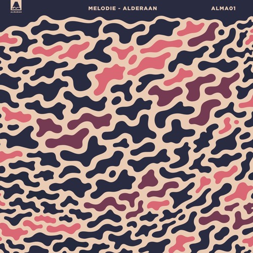 Melodie "Acid Saturday" - Boiler Room Debuts