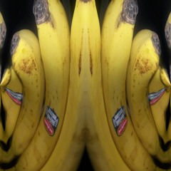 Stuff From The Year 2016